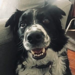 Meet your Posher, Elizabeth